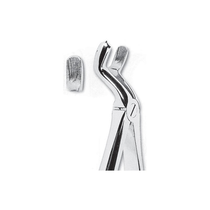 Forceps de extraccion fig 67R terceros molares superiores derechos