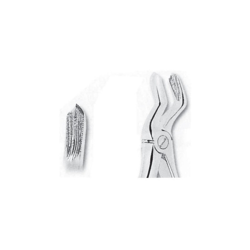 Fórceps extracción para niños fig 03 molares superiores