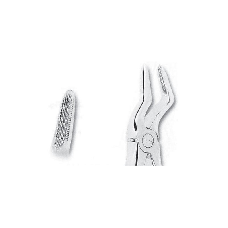 Fórceps extracción para niños fig 51S raíces superiores