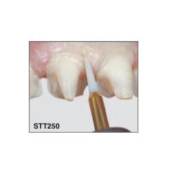STT250